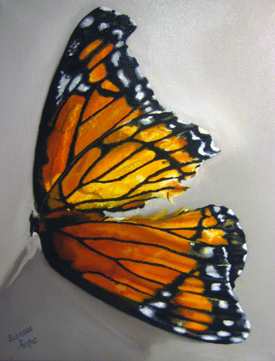 Contemplation: Monarch Dream by Susanna Pantas